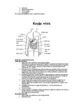 Konspekts 'Vēžu veidi', 12.