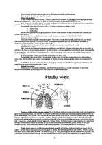 Konspekts 'Vēžu veidi', 15.
