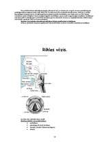 Konspekts 'Vēžu veidi', 18.