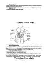 Konspekts 'Vēžu veidi', 19.