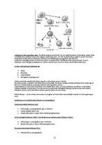 Konspekts 'Vēžu veidi', 25.