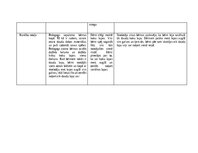 Prakses atskaite 'Pētnieciskās prakses materiāli', 32.