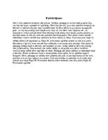 Prakses atskaite 'Pētnieciskās prakses materiāli', 71.