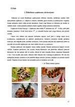 Prakses atskaite 'Prakse viesnīcā un ēdināšanas uzņēmumā', 27.