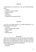 Prakses atskaite 'Prakse viesnīcā un ēdināšanas uzņēmumā', 31.