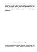 Referāts 'Uzņēmējdarbības būtība. Uzņēmuma jēdziens un mērķi', 7.