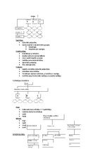 Konspekts 'Firmas menedžments, uzņēmējdarbības vadība', 3.