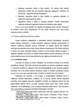 Referāts 'A/s "Latvijas Balzams" finansiālā stāvokļa novērtējums', 7.