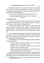 Referāts 'A/s "Latvijas Balzams" finansiālā stāvokļa novērtējums', 18.