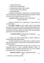 Referāts 'A/s "Latvijas Balzams" finansiālā stāvokļa novērtējums', 21.