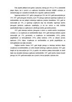 Referāts 'A/s "Latvijas Balzams" finansiālā stāvokļa novērtējums', 43.