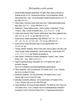 Referāts 'A/s "Latvijas Balzams" finansiālā stāvokļa novērtējums', 70.