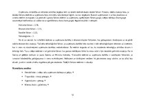 Referāts 'Pārmaiņu vadības analīze uzņēmumā SIA "North Hub Services"', 12.