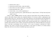 Referāts 'Pārmaiņu vadības analīze uzņēmumā SIA "North Hub Services"', 13.