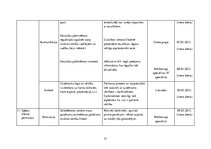Referāts 'Pārmaiņu vadības analīze uzņēmumā SIA "North Hub Services"', 31.