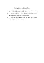 Referāts 'Pārmaiņu vadības analīze uzņēmumā SIA "North Hub Services"', 38.