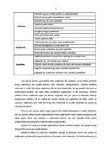 Referāts 'SIA "x" uzņēmuma mārketinga komunikācijas un to pilnveides iespējas', 11.