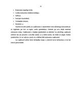 Referāts 'SIA "x" uzņēmuma mārketinga komunikācijas un to pilnveides iespējas', 40.