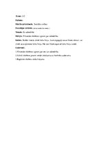 Prakses atskaite 'Aktīvā prakse sākumskolā', 2.