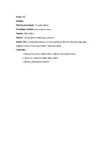 Prakses atskaite 'Aktīvā prakse sākumskolā', 5.