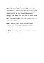 Prakses atskaite 'Aktīvā prakse sākumskolā', 14.