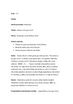 Prakses atskaite 'Aktīvā prakse sākumskolā', 15.