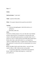 Prakses atskaite 'Aktīvā prakse sākumskolā', 20.