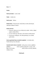 Prakses atskaite 'Aktīvā prakse sākumskolā', 29.