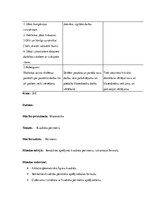 Prakses atskaite 'Aktīvā prakse sākumskolā', 31.