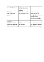 Prakses atskaite 'Aktīvā prakse sākumskolā', 33.