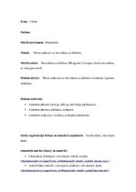 Prakses atskaite 'Aktīvā prakse sākumskolā', 36.