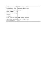 Prakses atskaite 'Aktīvā prakse sākumskolā', 47.