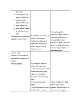 Prakses atskaite 'Aktīvā prakse sākumskolā', 53.