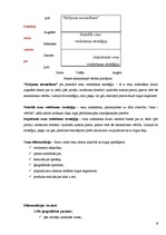 Referāts 'Cena, cenu veidošanas metodes un stratēģijas', 8.