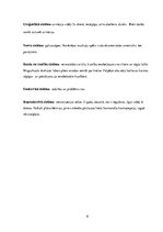 Prakses atskaite 'Aprūpes plāns terapijā. Reimatoīdais artrīts', 8.