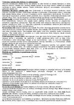 Konspekts 'Latviešu valodas mutiskā eksāmena biļetes', 6.