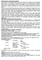 Konspekts 'Latviešu valodas mutiskā eksāmena biļetes', 10.