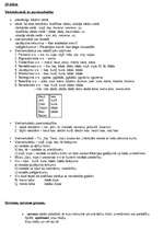 Konspekts 'Latviešu valodas mutiskā eksāmena biļetes', 28.