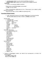 Konspekts 'Latviešu valodas mutiskā eksāmena biļetes', 29.