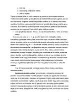 Konspekts 'Pasaules ekonomiskā attīstība viduslaikos. Kapitāla sākotnējā uzkrāšanās', 3.