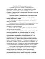 Eseja 'Latvijas valsts loma jauktajā ekonomikā', 1.