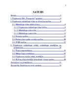 Referāts 'Uzņēmuma SIA "Transports" mārketinga vides un stratēģijas analīze un darbības pl', 2.