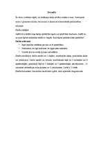 Referāts 'Suns un tā apmācība', 5.