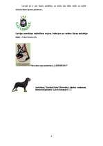 Referāts 'Suns un tā apmācība', 9.