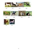 Referāts 'Suns un tā apmācība', 11.