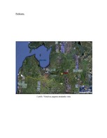 Referāts 'Vietalvas pagasta komplekss raksturojums', 9.