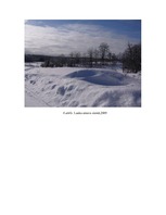 Referāts 'Vietalvas pagasta komplekss raksturojums', 13.