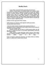 Eseja 'Likumi - mērķu un uzdevumu izpēte tiesību pamatos', 7.