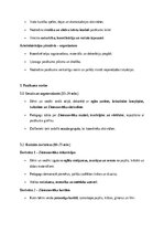 Eseja 'Ziemassvētku pasākums pirmsskolā: radošuma, sociālo un emocionālo prasmju veicin', 2.