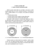 Diplomdarbs 'Optisko sazarotāju darbības principi un veidi', 8.